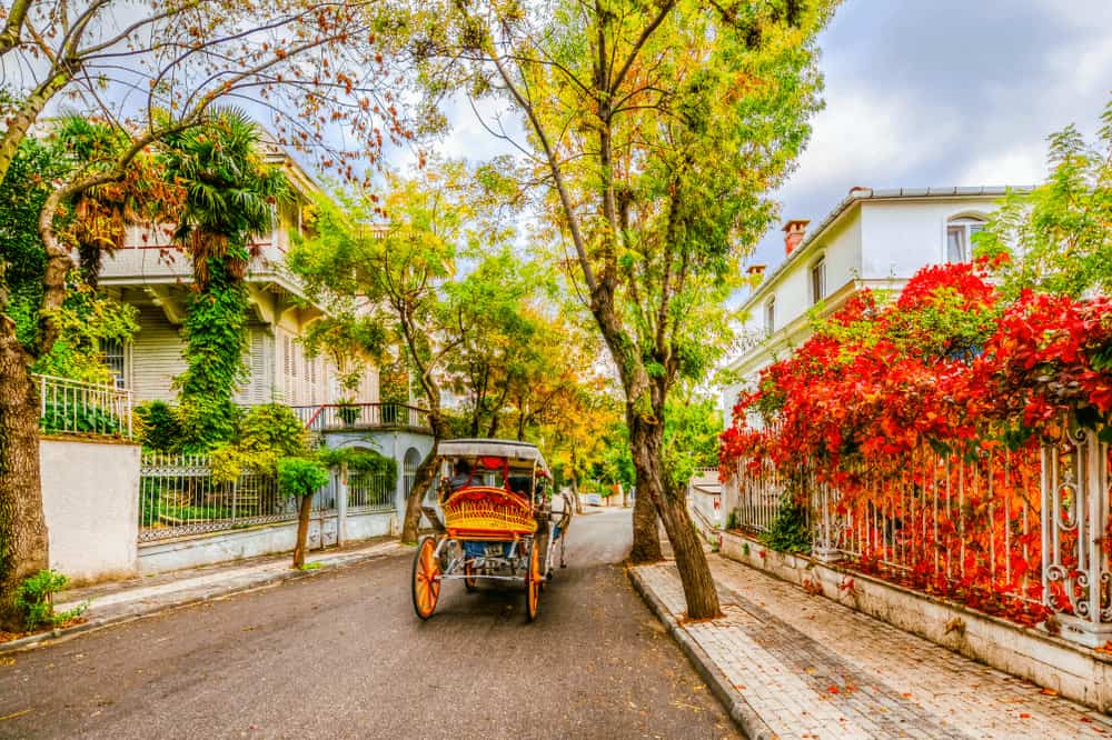 برنامج سياحي في اسطنبول لمدة 10 ايام