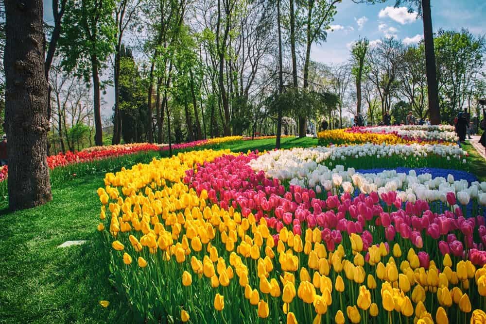 الاماكن السياحية في اسطنبول